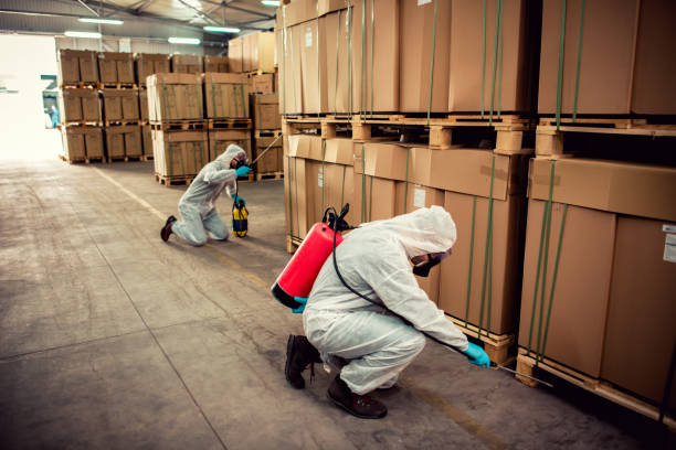 Best Best Pest Control Companies  in Liolnton, NC