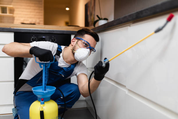 Best Insect Control  in Liolnton, NC