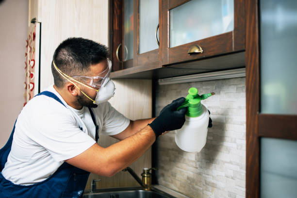 Best Insect Control  in Liolnton, NC