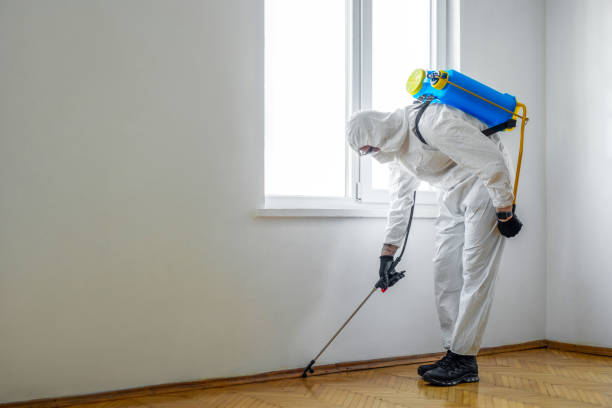 Best Pest Removal Services  in Liolnton, NC