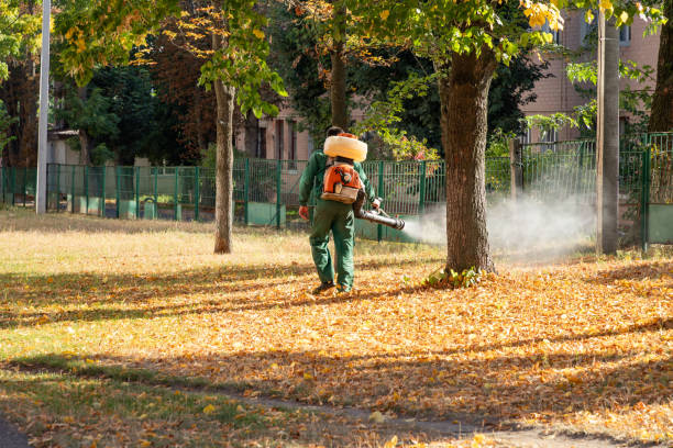 Best Flea Control Services  in Liolnton, NC